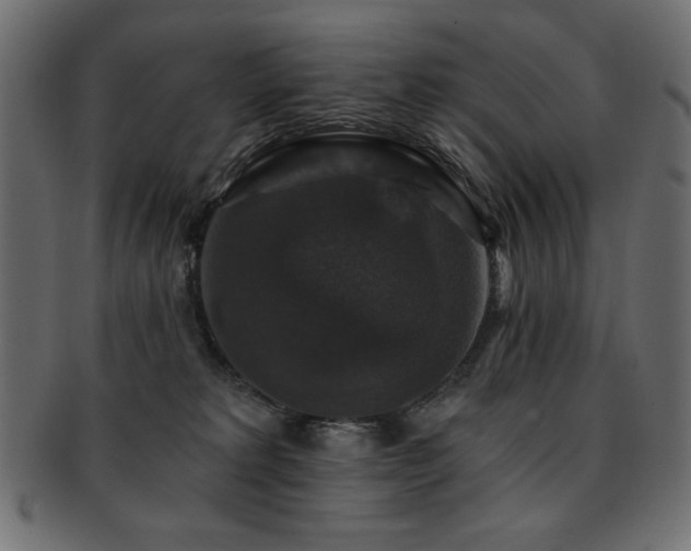 X0000093130229200709261355