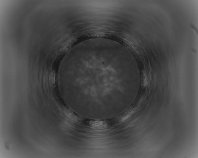 X0000093130230200709261355