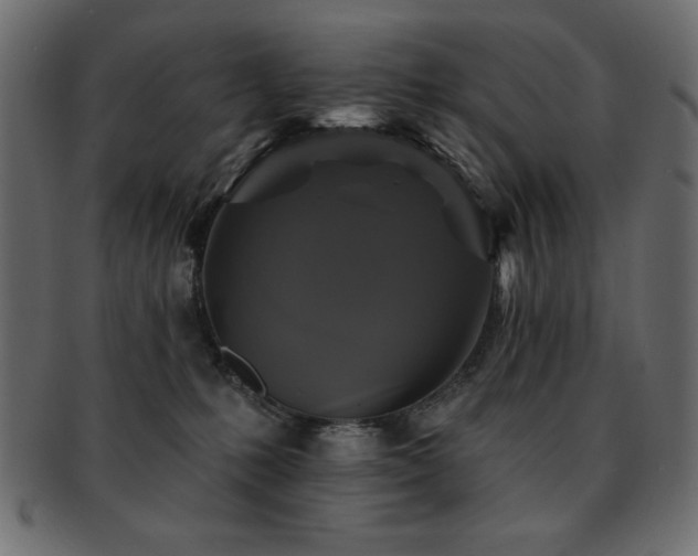 X0000093130231200709261355