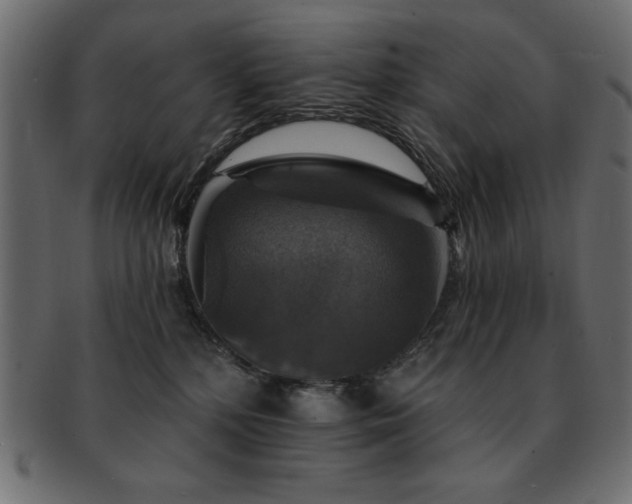 X0000093130232200709261355