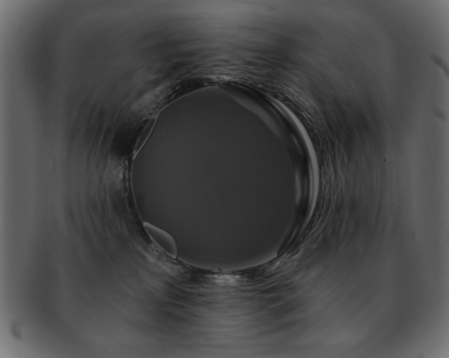 X0000093130233200709261355