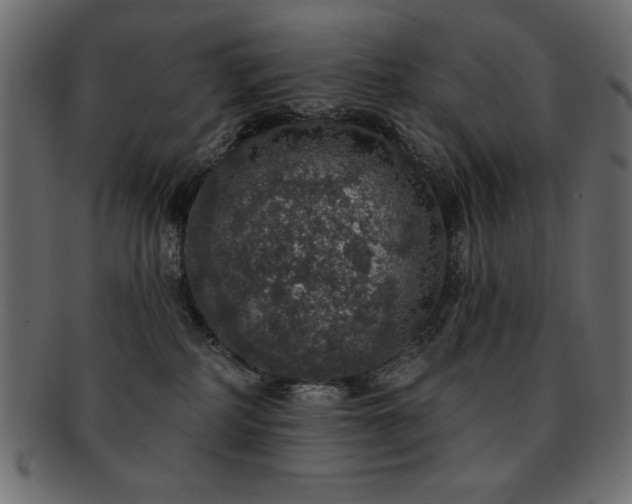 X0000093130234200709261355