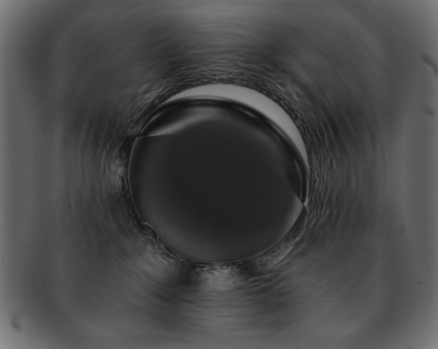 X0000093130235200709261355