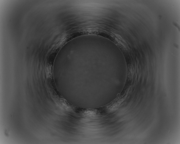 X0000093130236200709261355