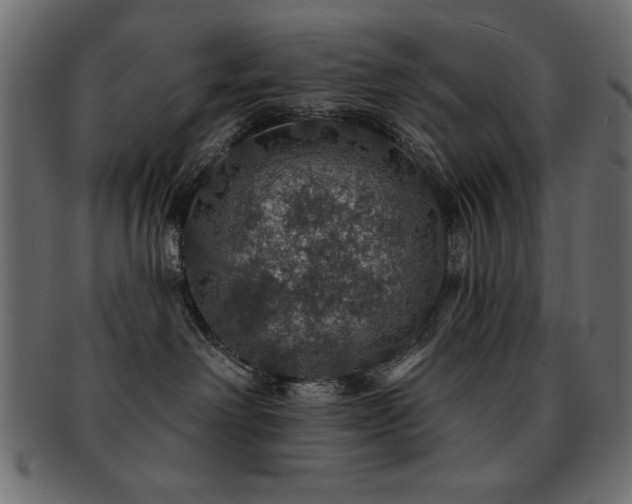 X0000093130238200709261354