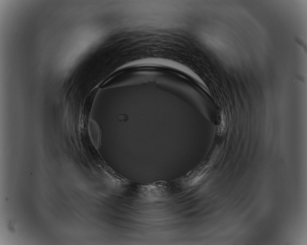 X0000093130239200709261354