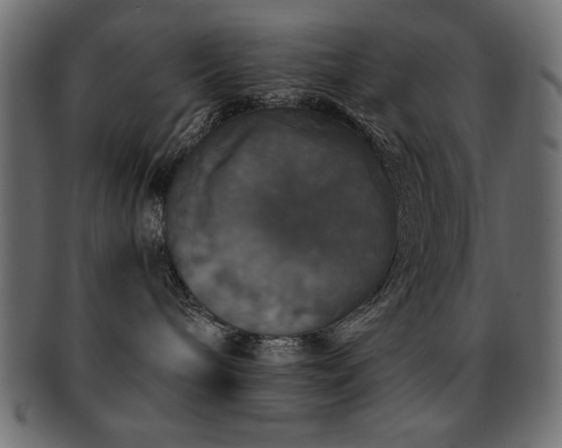 X0000093130240200709261354
