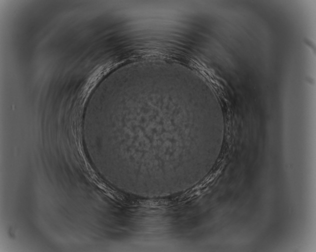 X0000093130241200709261354