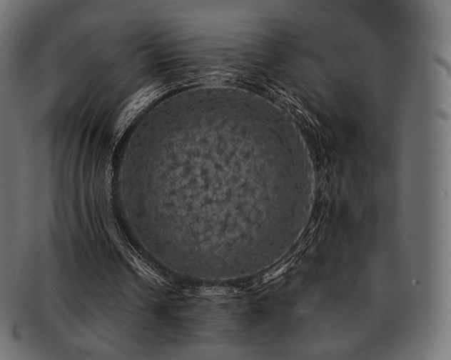 X0000093130242200709261354