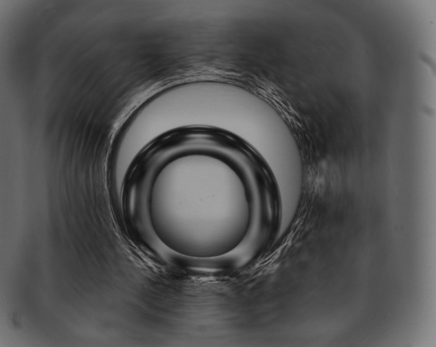 X0000093130244200709261354