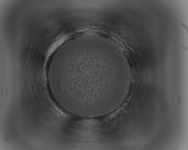 X0000093130245200709261354