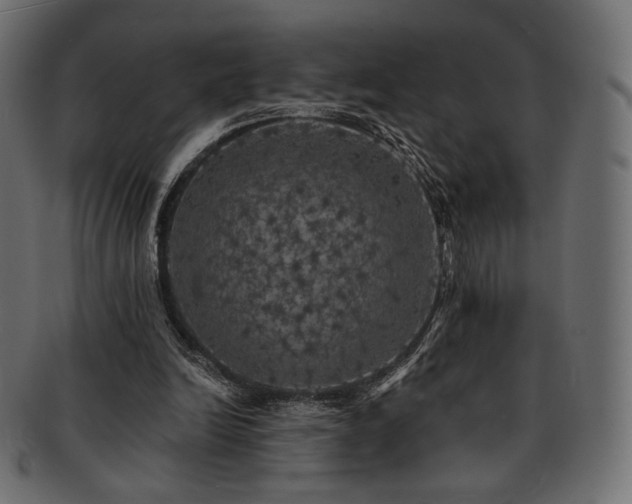 X0000093130246200709261354