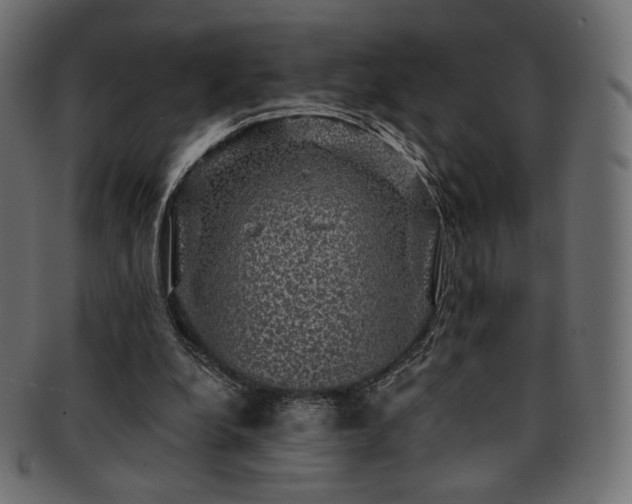 X0000093130248200709261354
