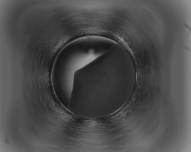 X0000093130249200709261354
