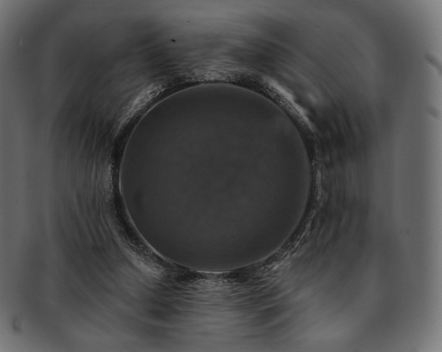 X0000093130250200709261354