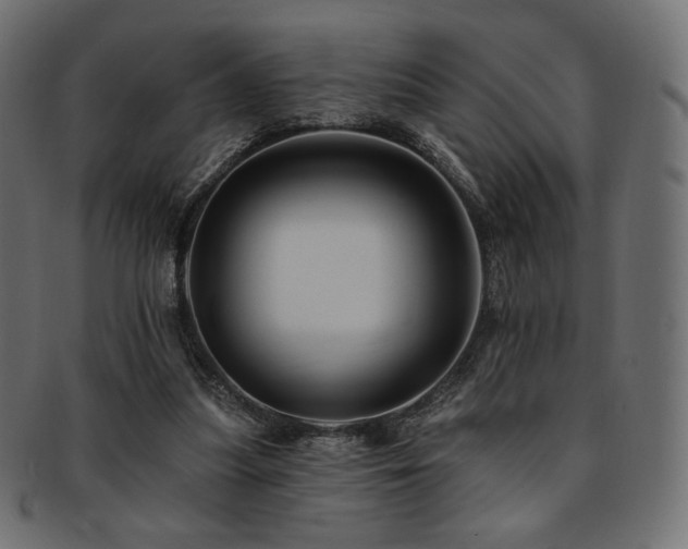 X0000093130251200709261354