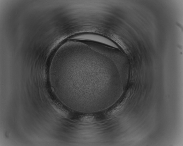 X0000093130252200709261354