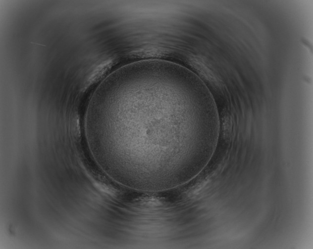X0000093130254200709261354