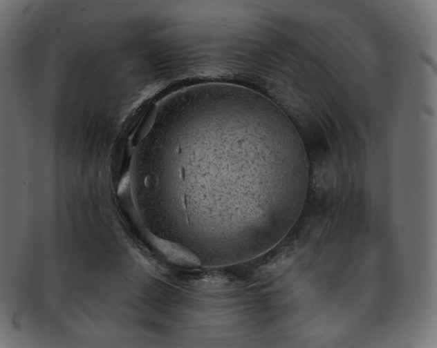 X0000093130256200709261354