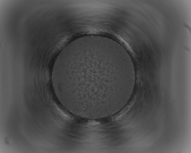 X0000093130257200709261354
