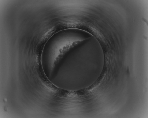 X0000093130258200709261354