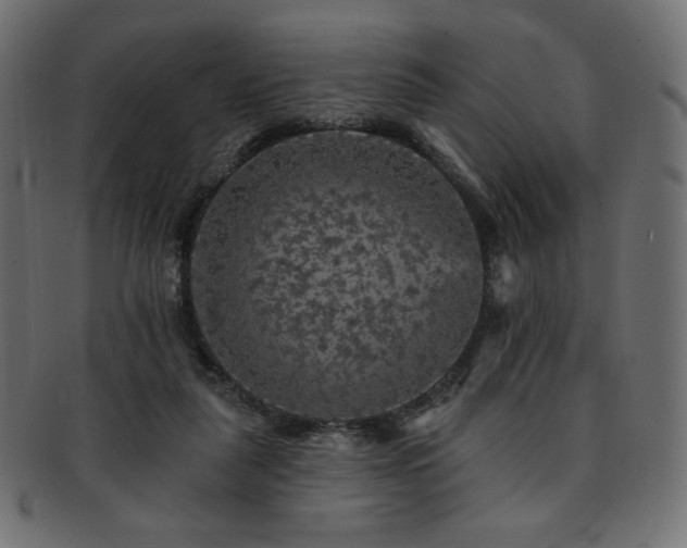 X0000093130259200709261354