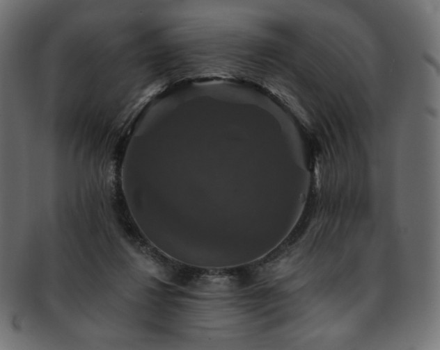 X0000093130260200709261354