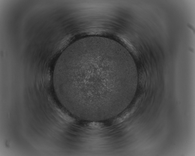 X0000093130261200709261354