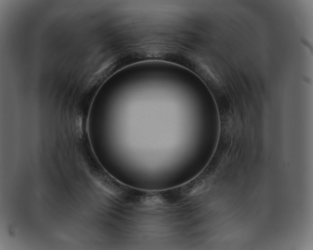 X0000093130262200709261354