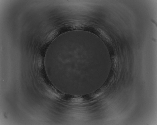 X0000093130266200709261354