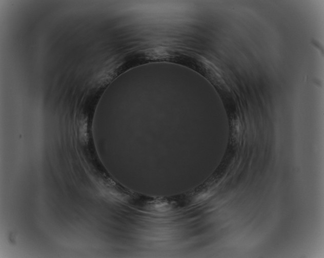 X0000093130267200709261354