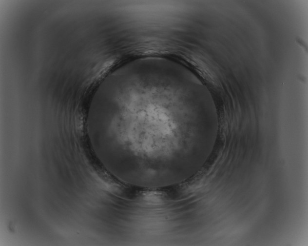 X0000093130268200709261354