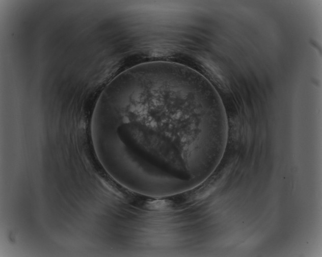 X0000093130269200709261354