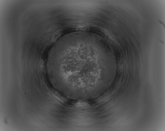 X0000093130270200709261354
