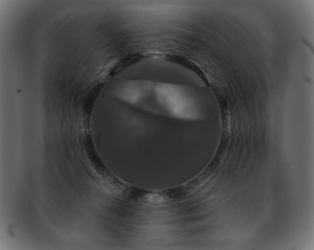 X0000093130272200709261354