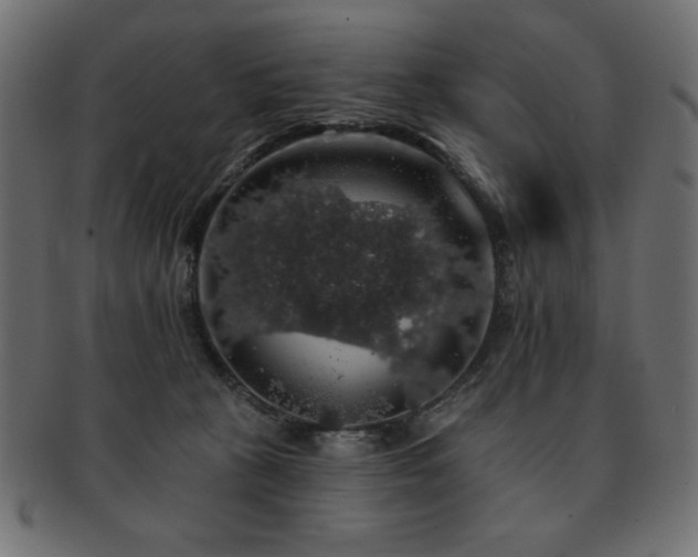 X0000093130273200709261354