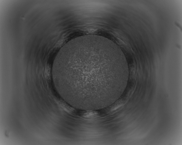 X0000093130274200709261354