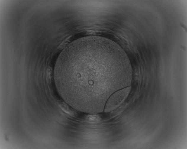 X0000093130275200709261354