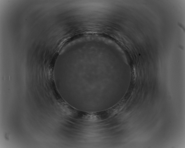 X0000093130276200709261354