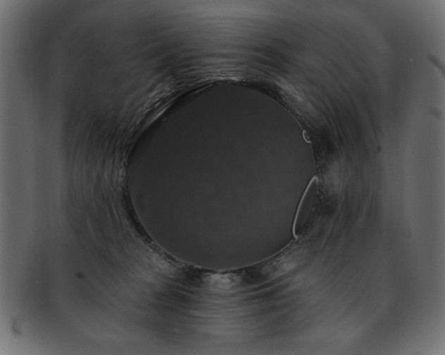 X0000093130277200709261354