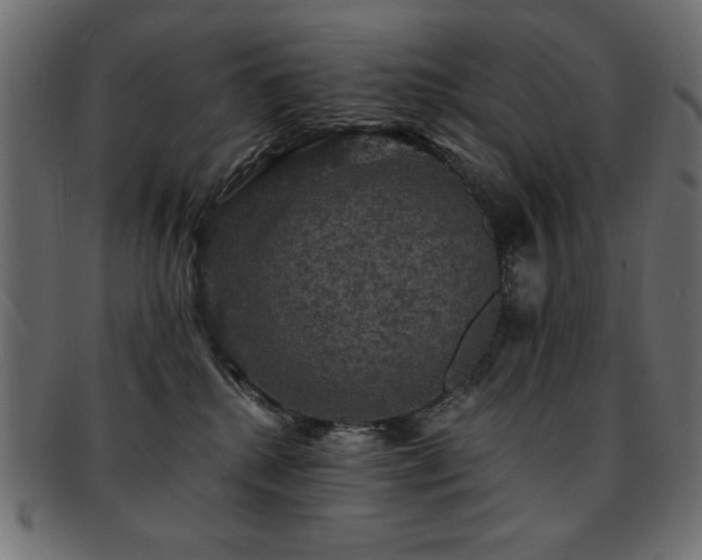 X0000093130280200709261354