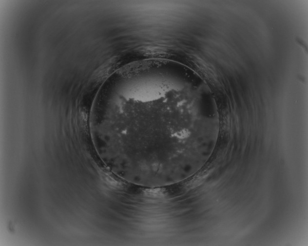 X0000093130281200709261354