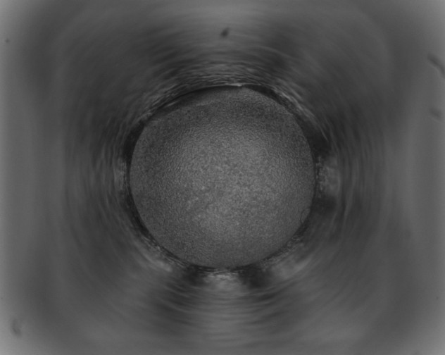 X0000093130283200709261354