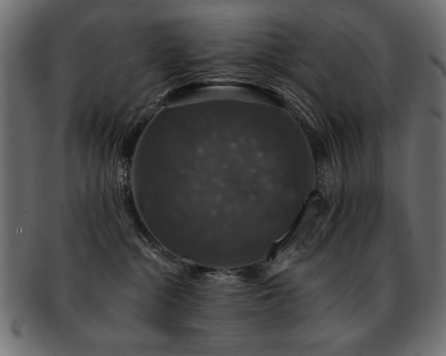 X0000093130284200709261354