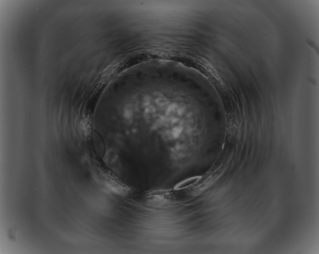 X0000093130285200709261354