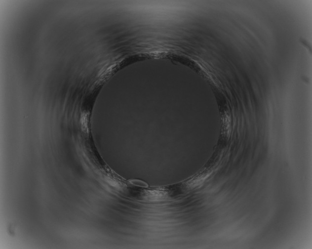 X0000093130286200709261354