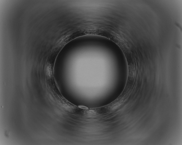 X0000093130287200709261354