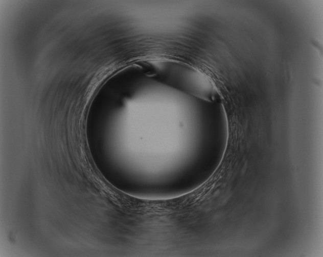 X0000093130289200709261354