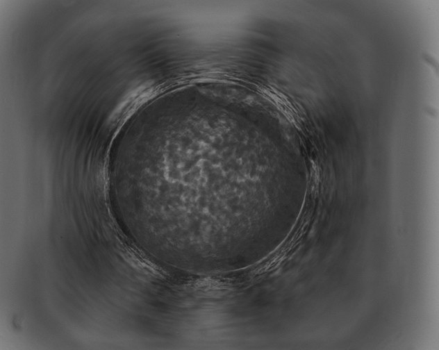 X0000093130290200709261354