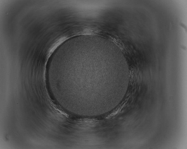 X0000093130292200709261354